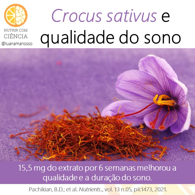 Post 493 - crocus e sono site
